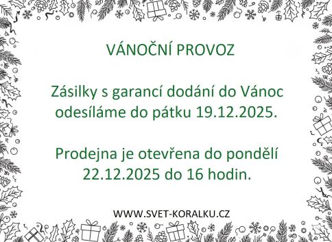 vánoční provoz_484